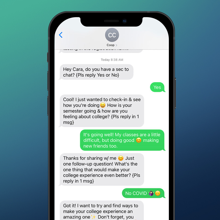 View of Chatbot on screen